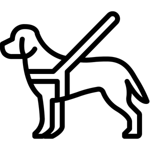 POSTROJE MAG